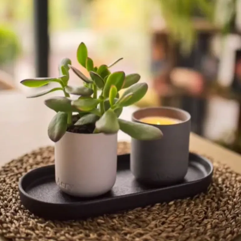 how-to-clean-and-reuse-ceramic-candle-jars (1)_1